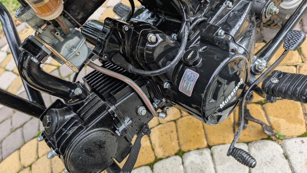 Мустанг фіт 2 ідеал