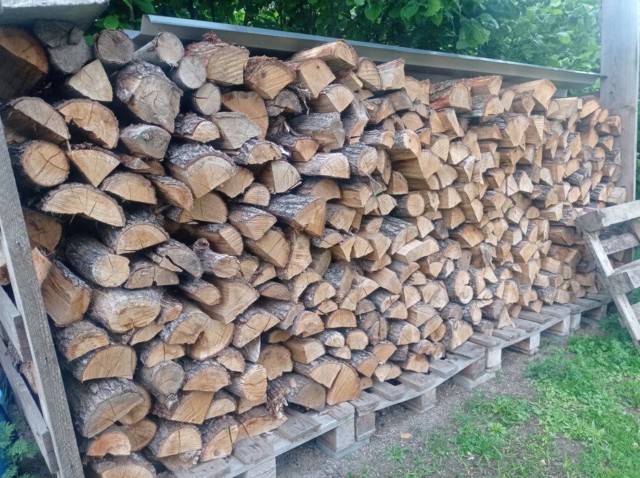 Dąb Buk Brzoza Opał