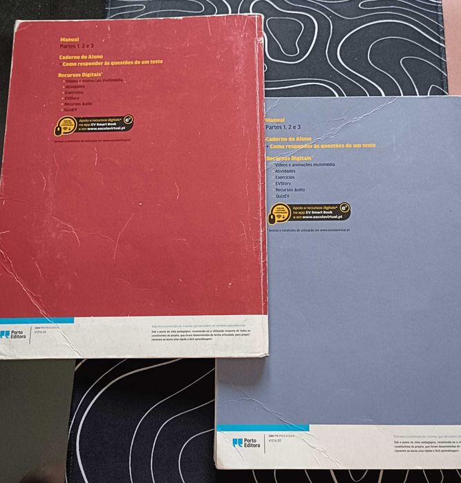 Entre Tempos 11 - caderno do aluno