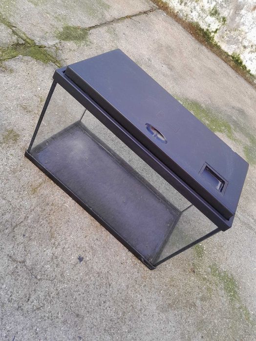 Aquario pequeno em vidro