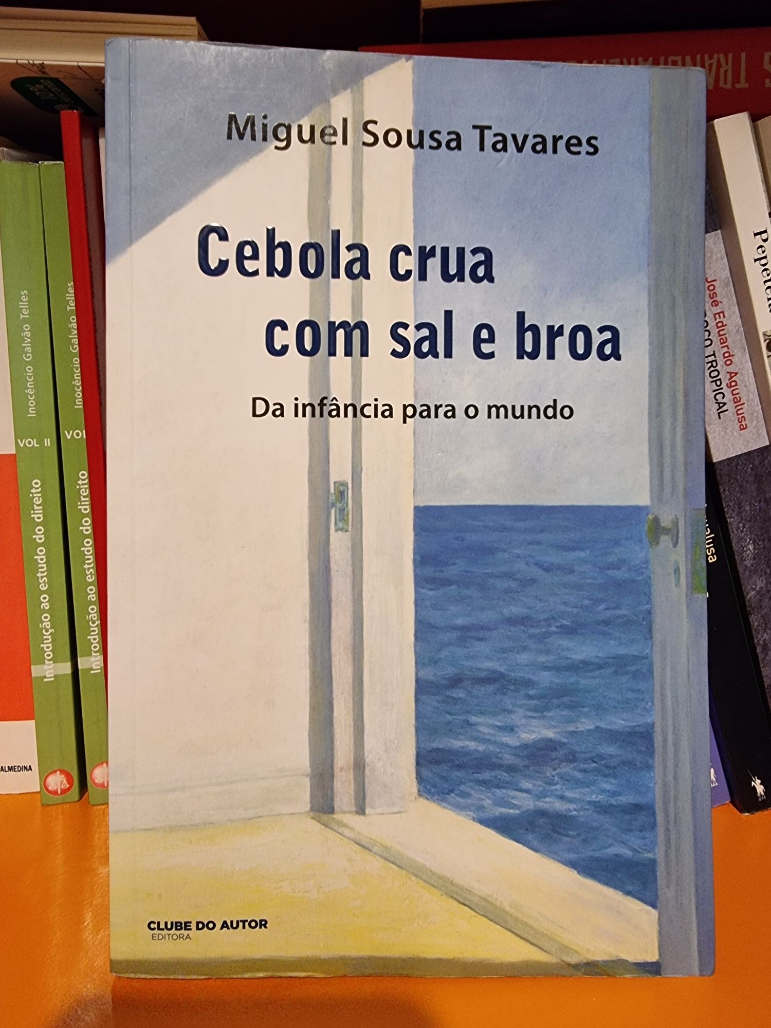 Livros Miguel Sousa Tavares e Agualusa