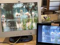 Monitor LCD HP2025 com 20.1”