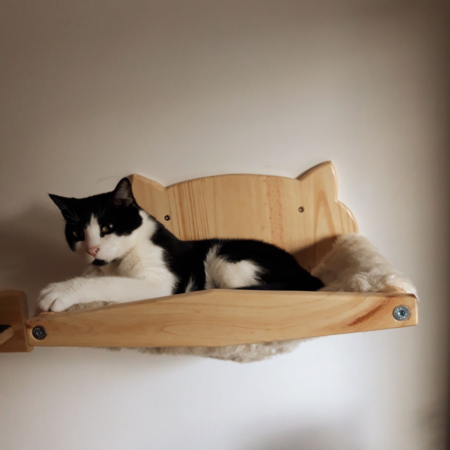 Cama de parede para gato