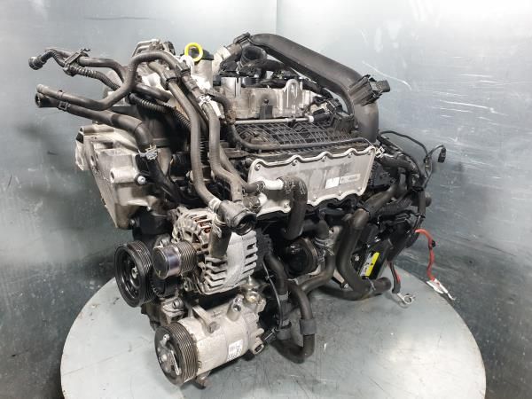 Motor completo VOLKSWAGEN Golf Sportsvan (AM1)