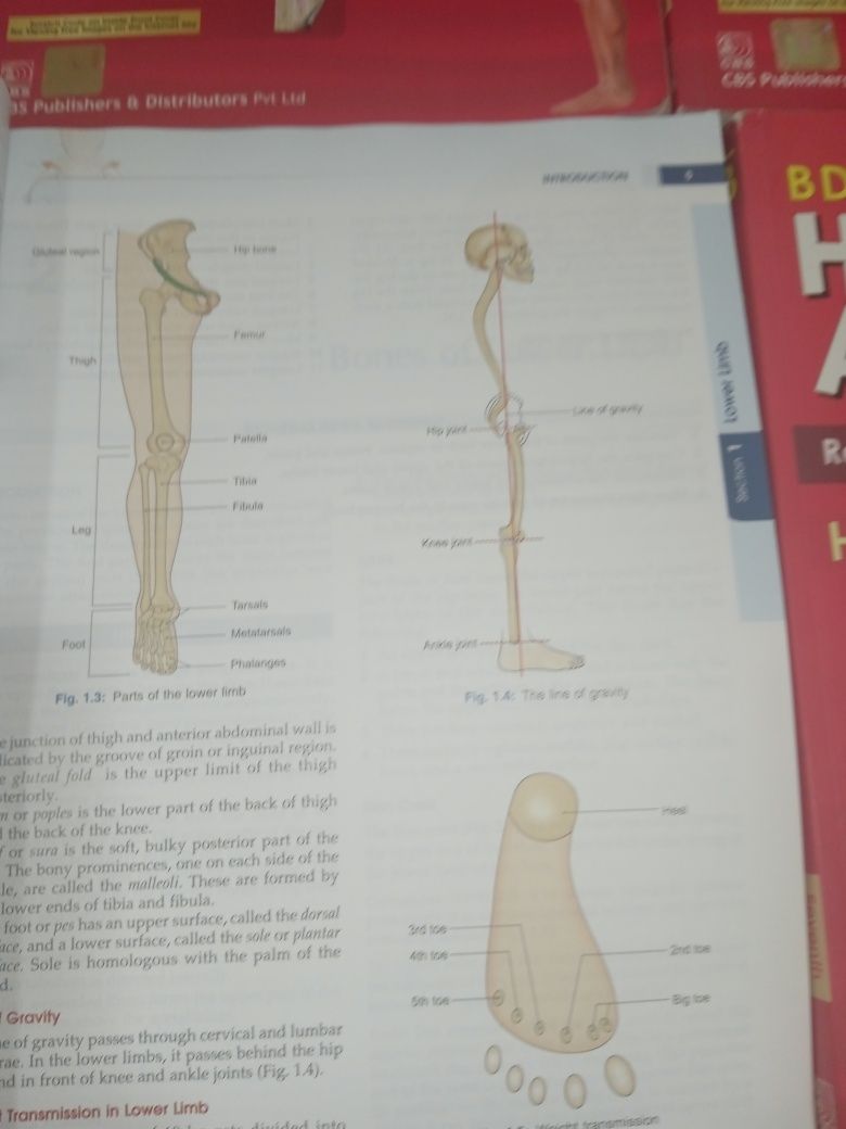 Атласы анатомии человека, комплект из 4 томов на английском языке