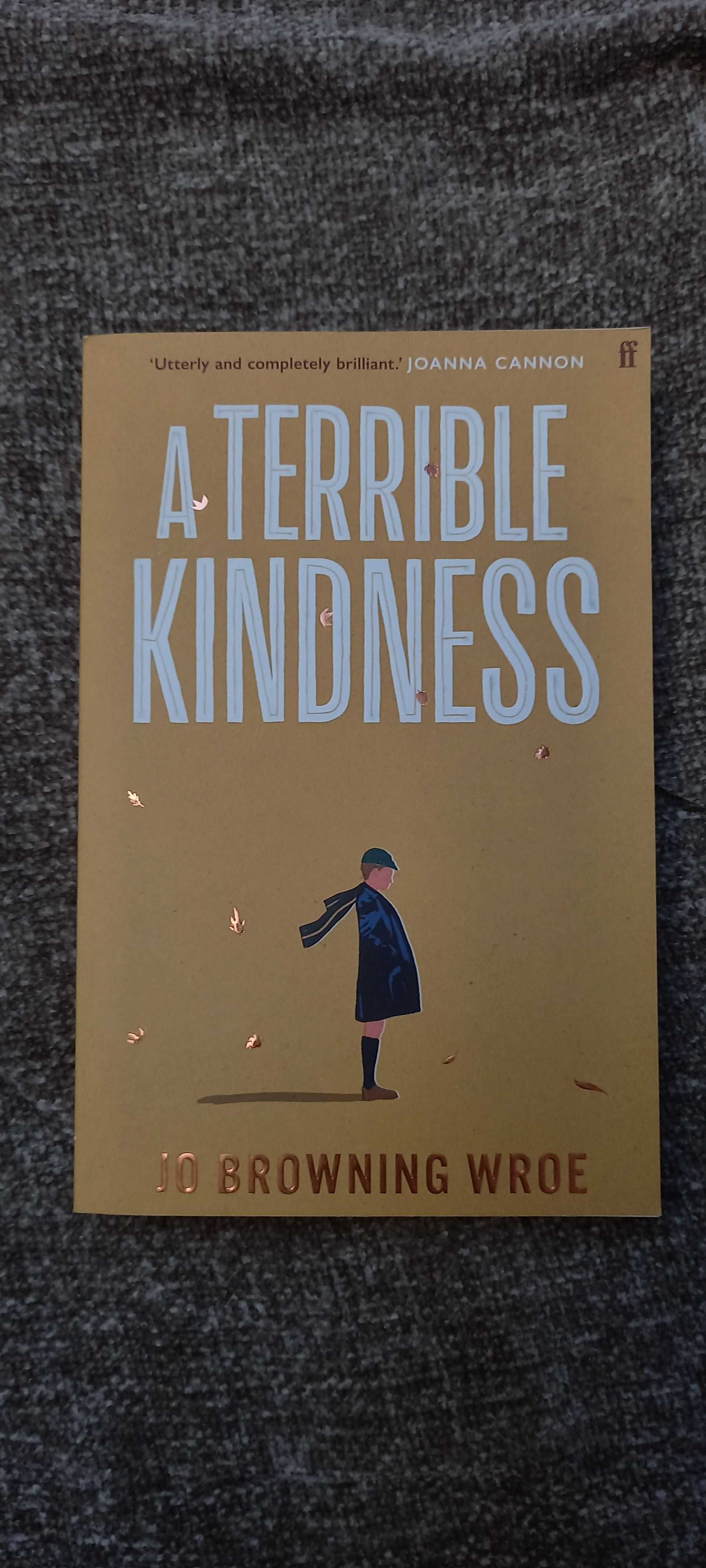 A terrible kindness de Jo Browning Wroe