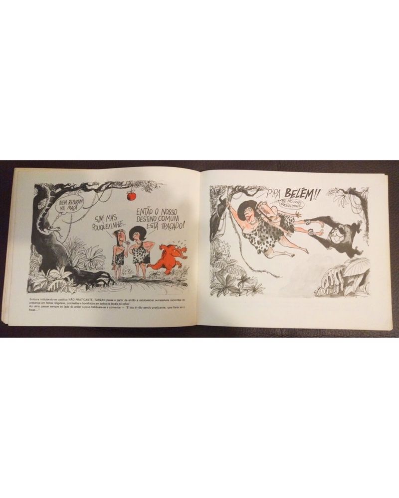 Livro “ O último Tarzan “ de Augusto Cid, 1980