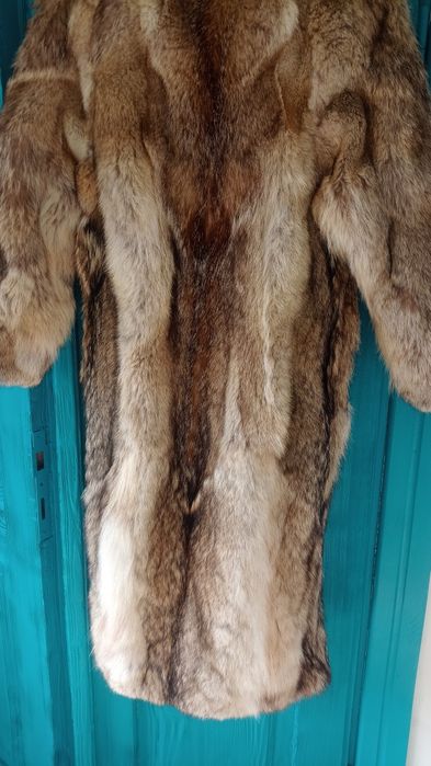 Futro naturalne długie z kojota