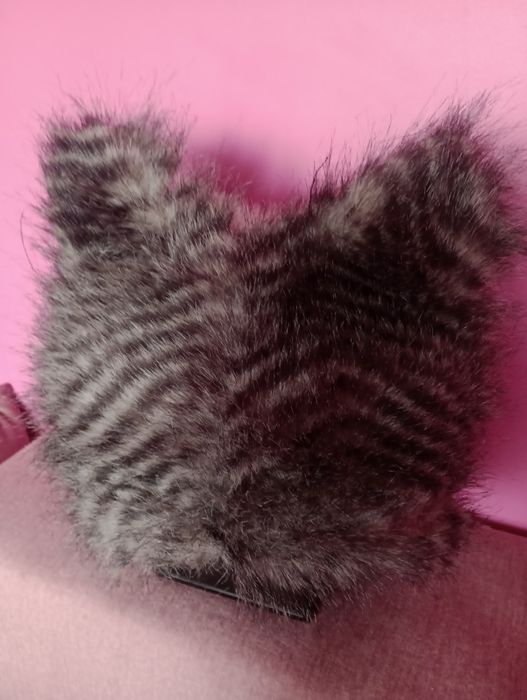 Firmowa czapka sowa .