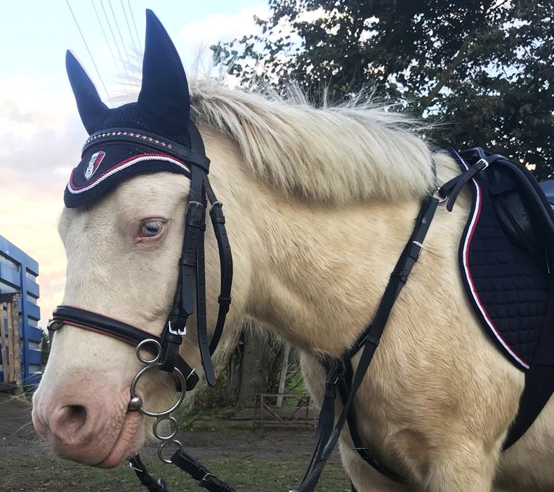 Nauszniki pony eskadron navy