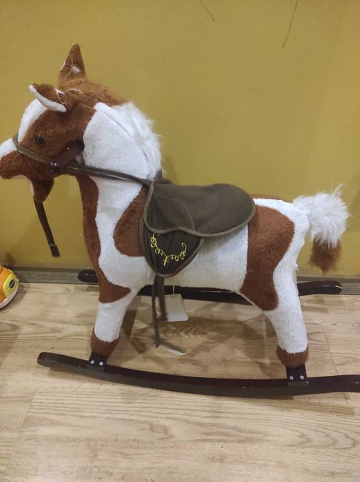 Konik na biegunach