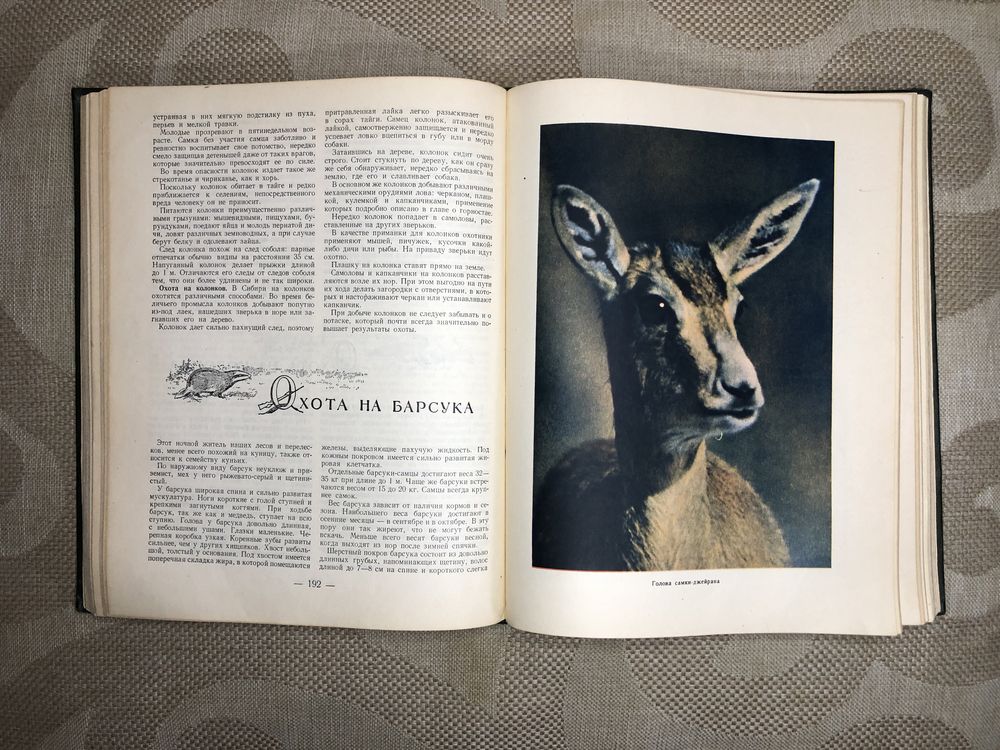 Настольная книга охотника спортсмена II том