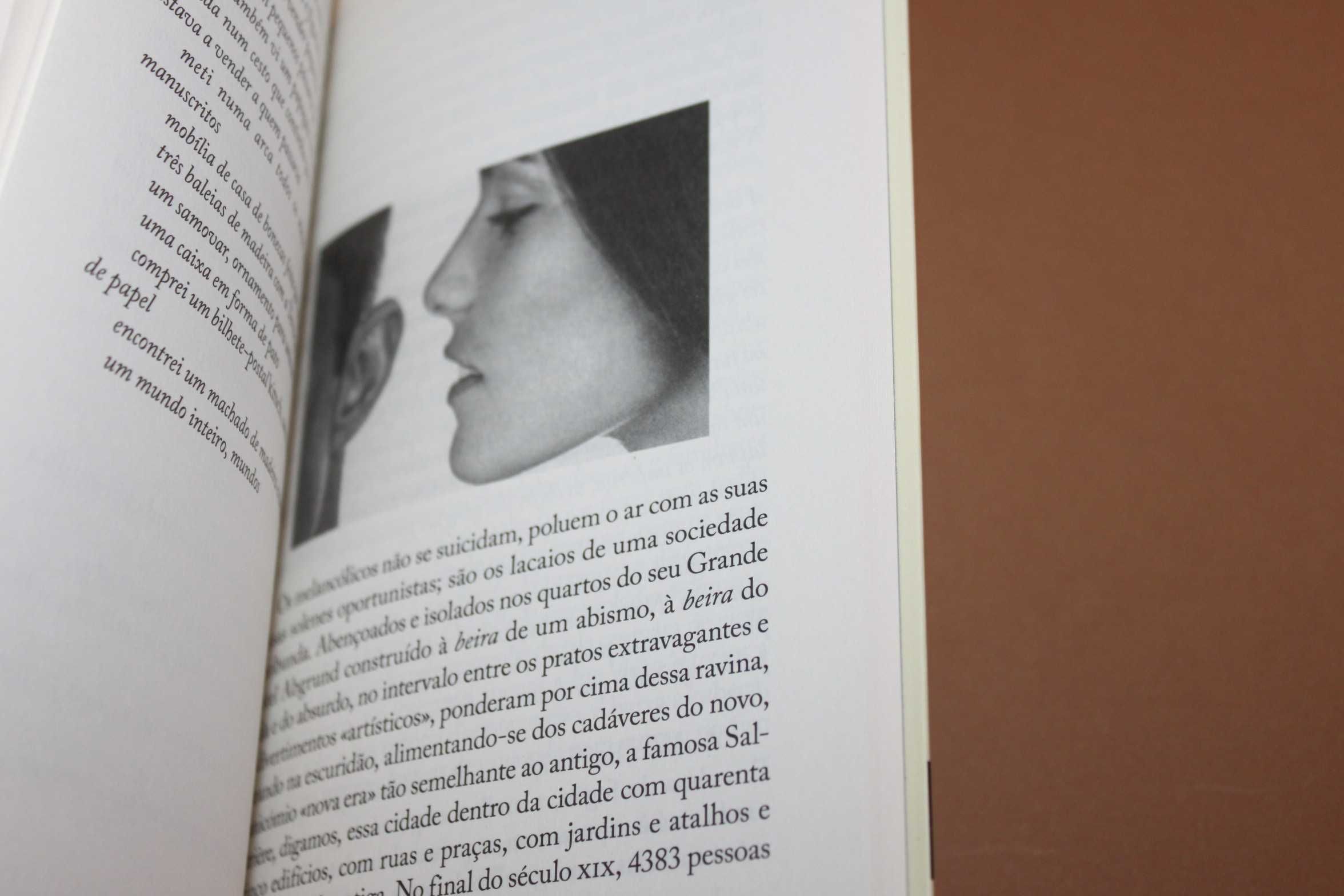 Belladonna// Dasa Drndic