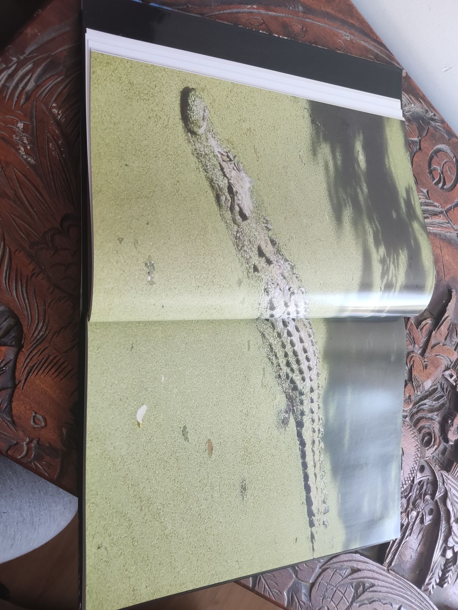 Coleção Terra Viva Completa Livros de Ciencias Naturais e Biologia