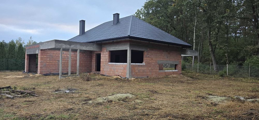 dom jednorodzinny HomeKoncept 31L