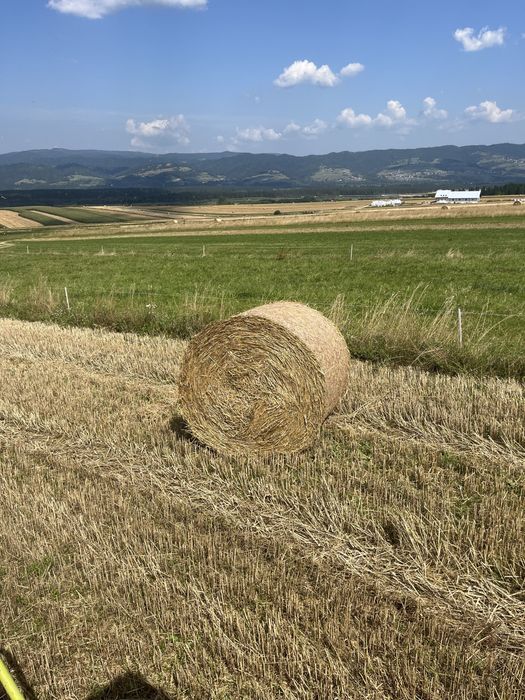 Słoma w balach.