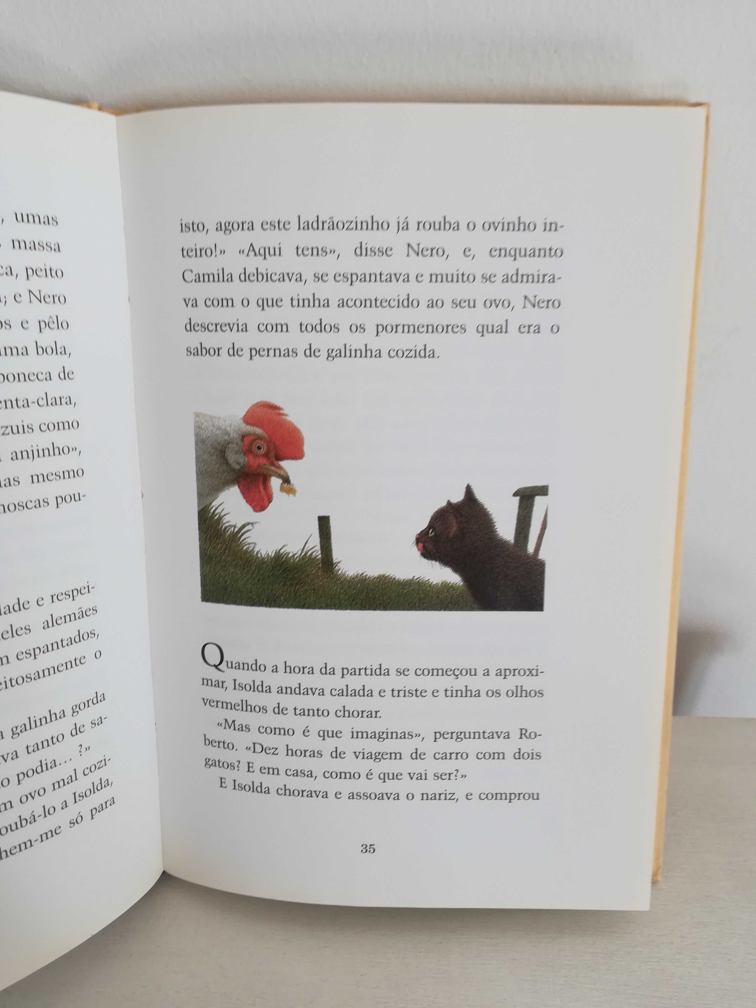 Livros baratos lote variado