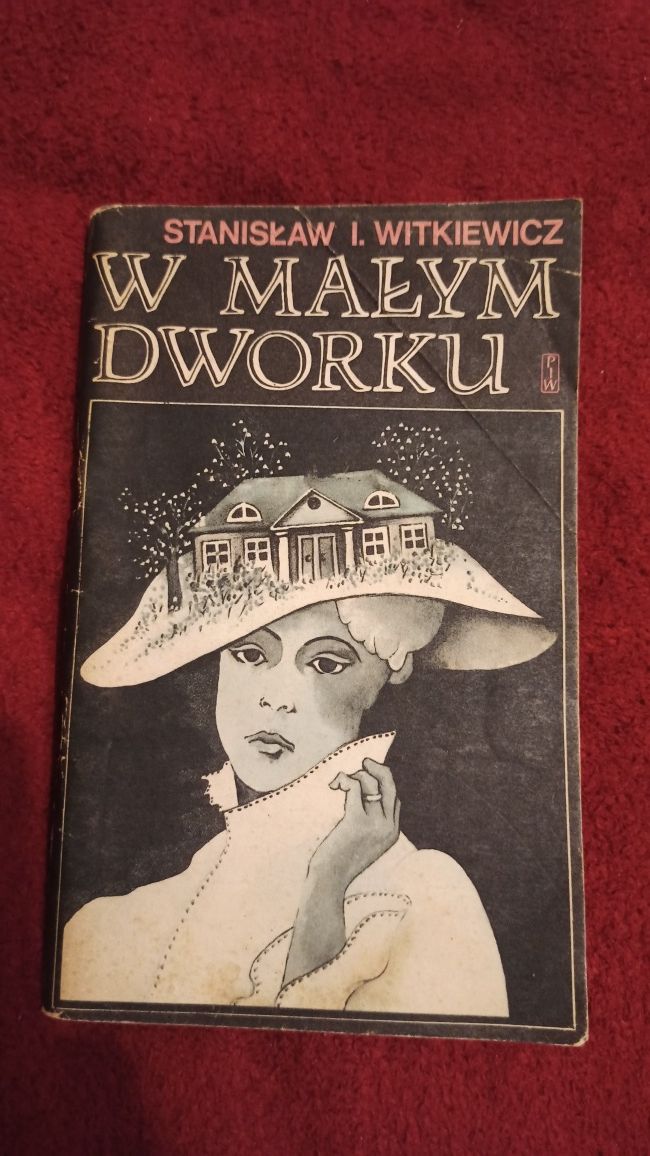 Książka W małym dworku - S. I. Witkiewicz