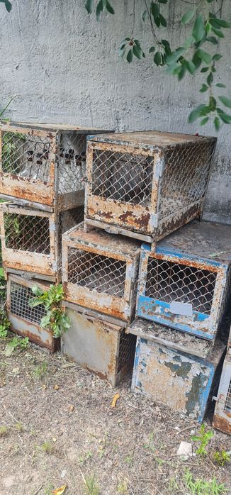 Клітки для кроликів