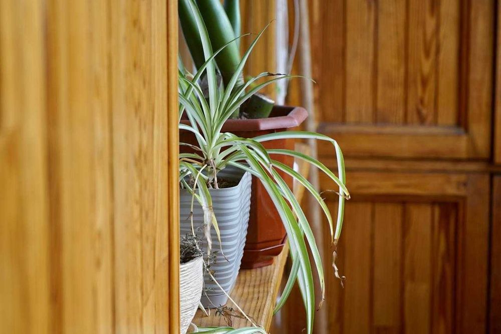 Hanimex tele lens 100/4 байонет Exakta