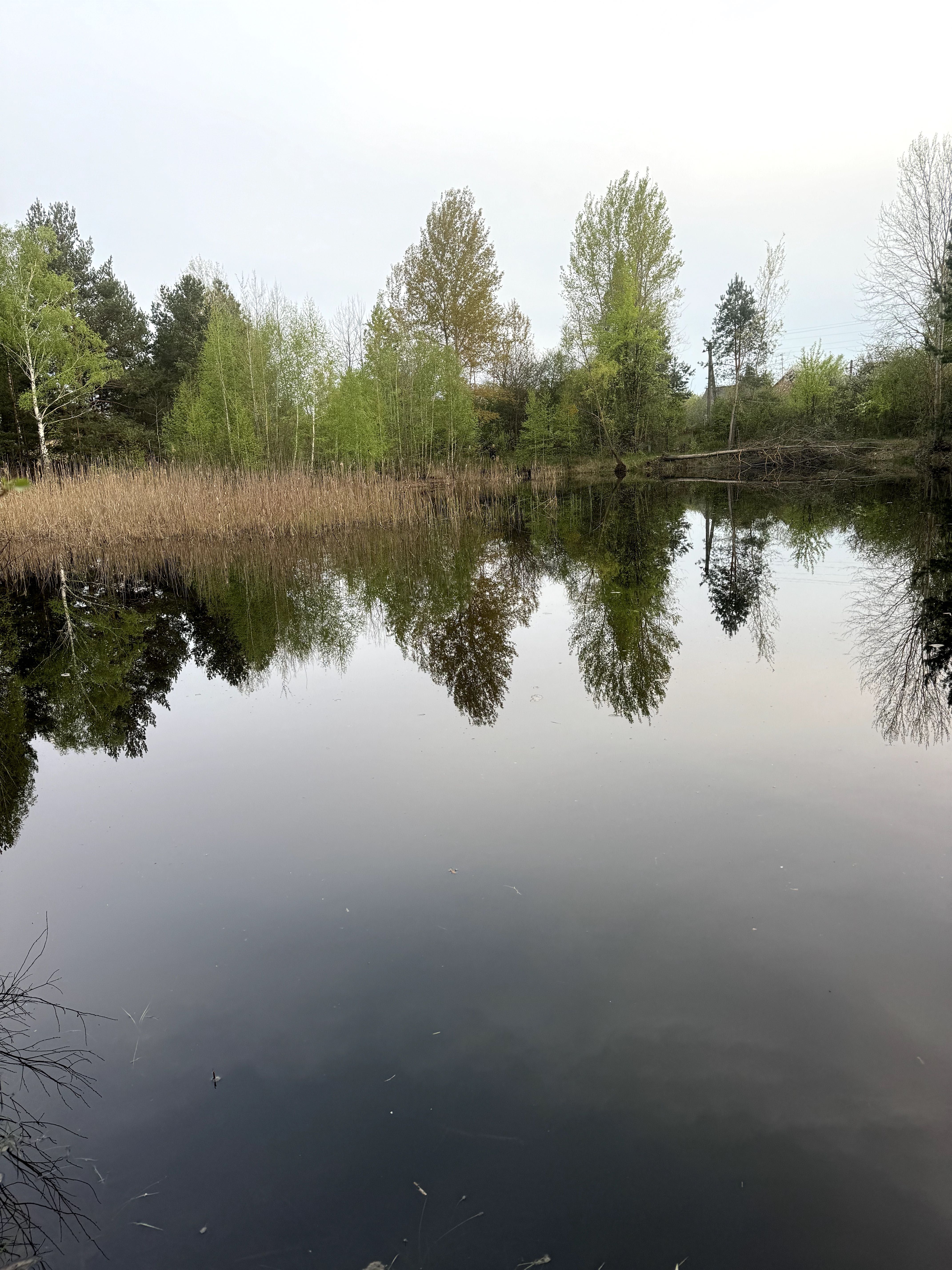 Продам чудову дачу у Феневичах (озеро, ліс, річка, гриби, риба)