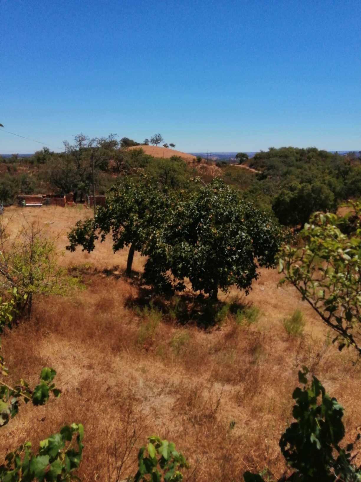 Quinta, 2,1 ha, Barragem Santa Clara, Alentejo