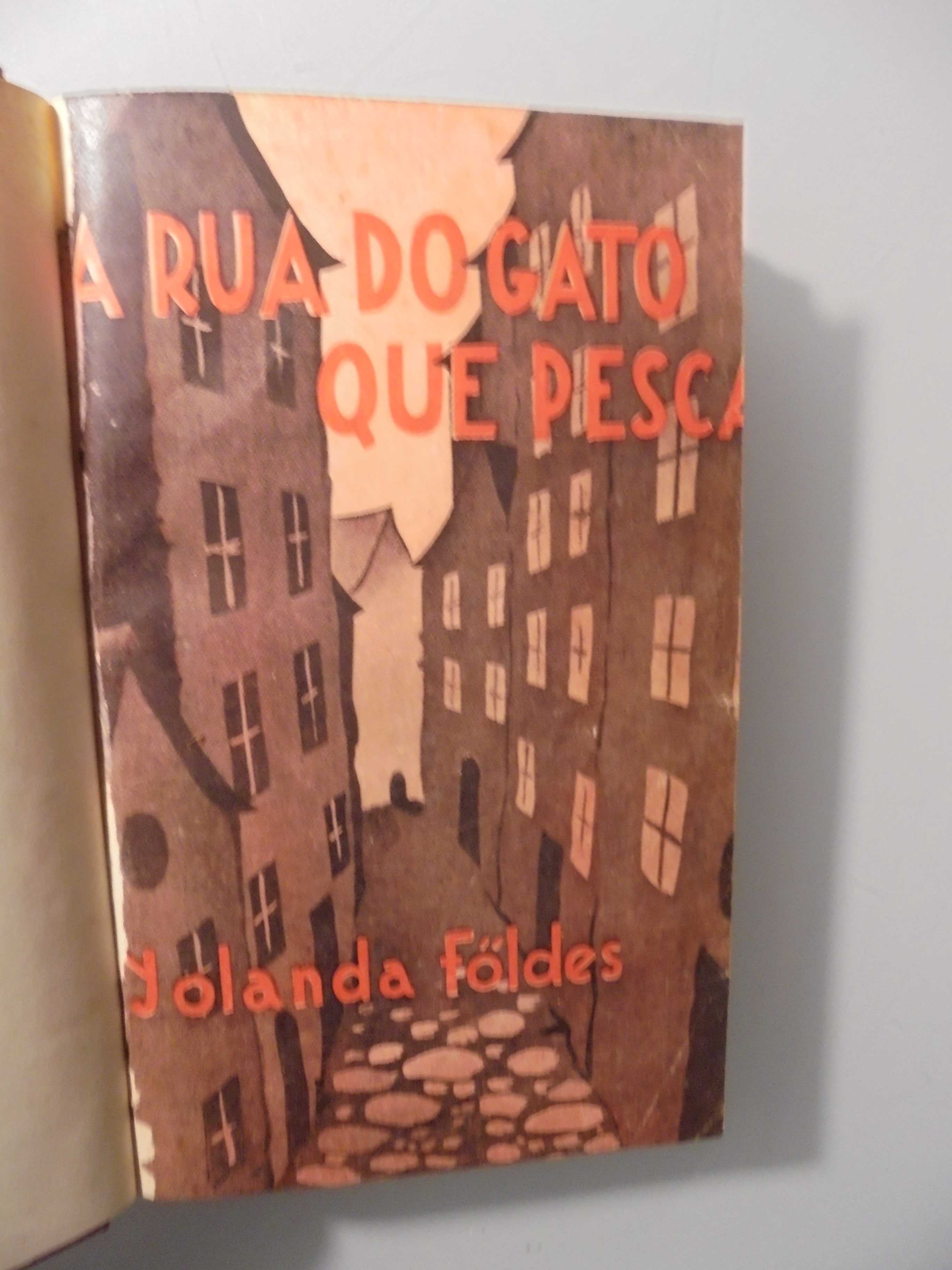 Foldes (Yolanda);A Rua do Gato que Pesca