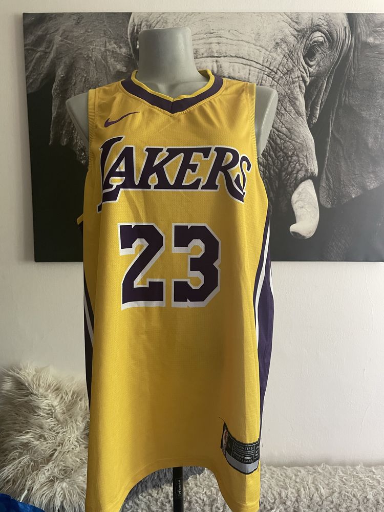 Koszulka koszykarska Nike NBA Los Angeles Lakers James