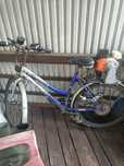 Sprzedam rower z silnikiem kosy spalinowej