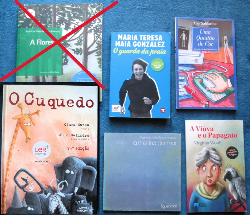 Metas curriculares; Plano Nacional de Leitura
