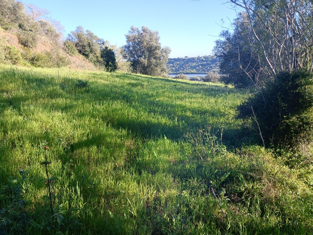 Quintinha , lote de terreno ,  monte , fazenda