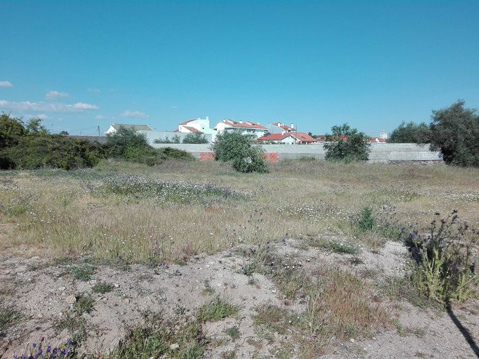 Lote de terreno com 1161 m2 bem localizado