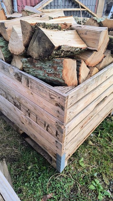 Dąb drzewo opałowe