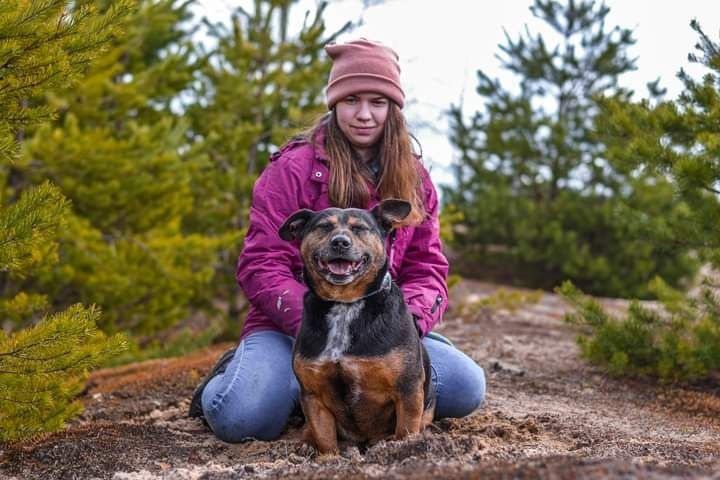 Podłużny, energiczny i przytulaśny psiak czeka na dzień adopcji!