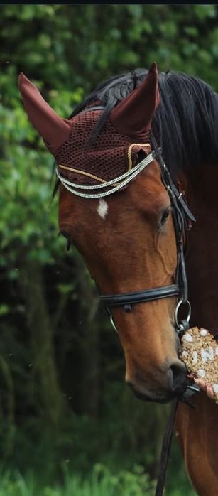 Nauszniki brązowe COB