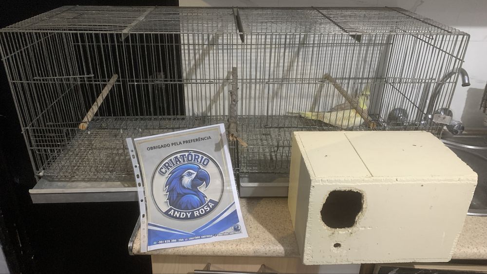 Casal disponivel , ler descricao a baixo