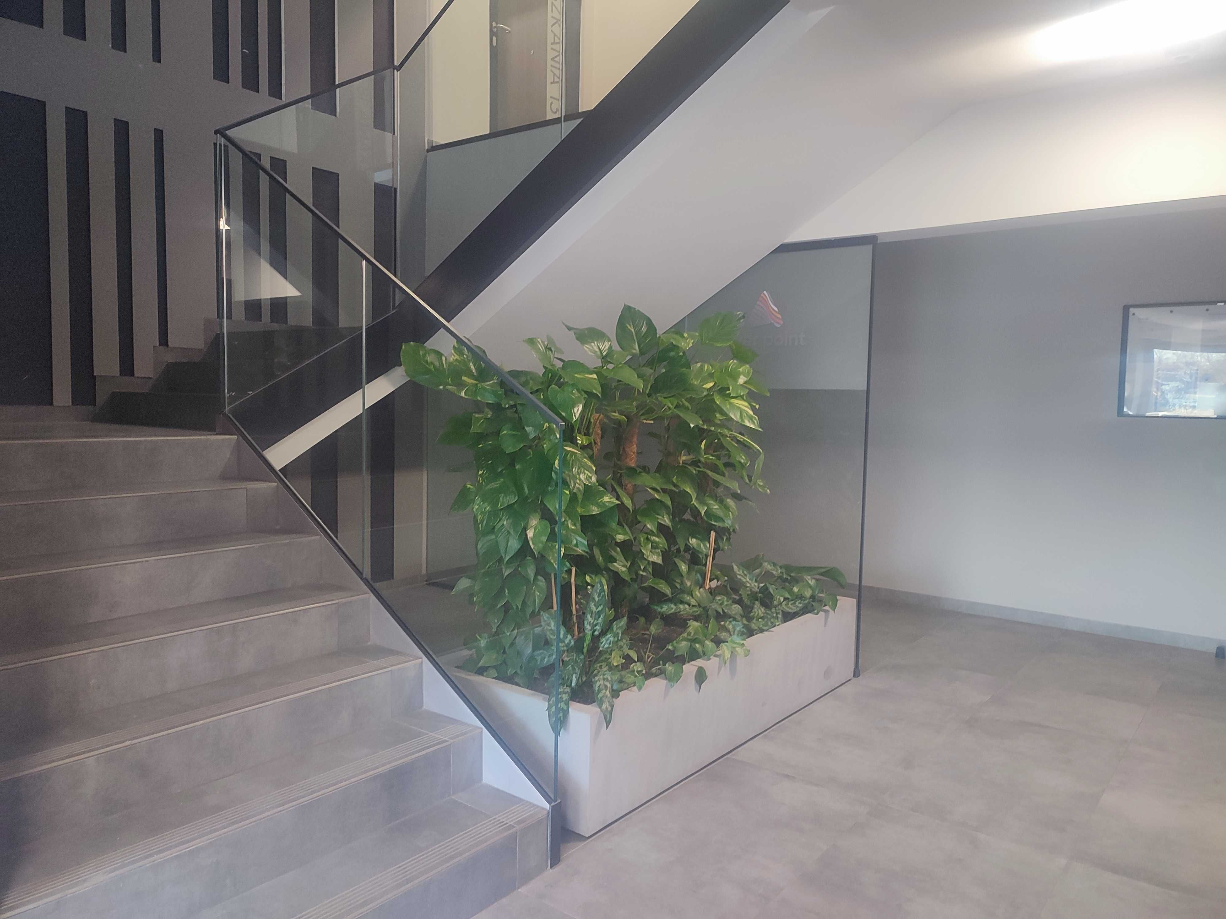 Wynajem mieszkania na Kępie Mieszczańskiej, Centrum, Nadodrze