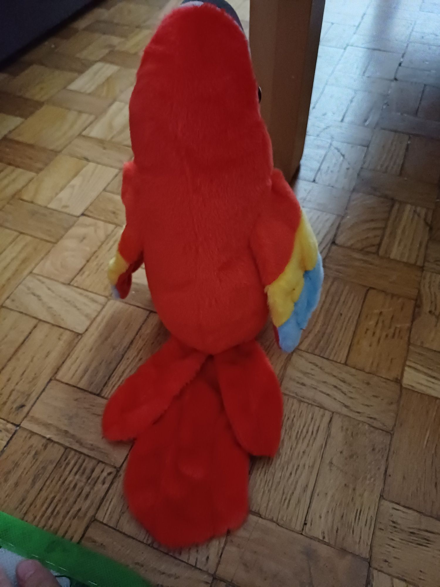 Gadająca  papuga