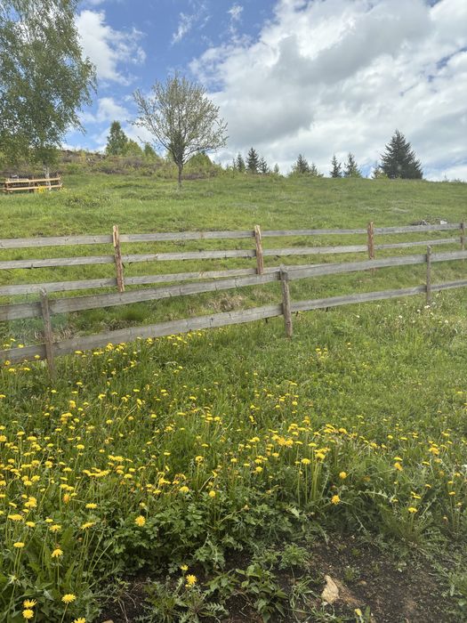 Новий Рік зайнято