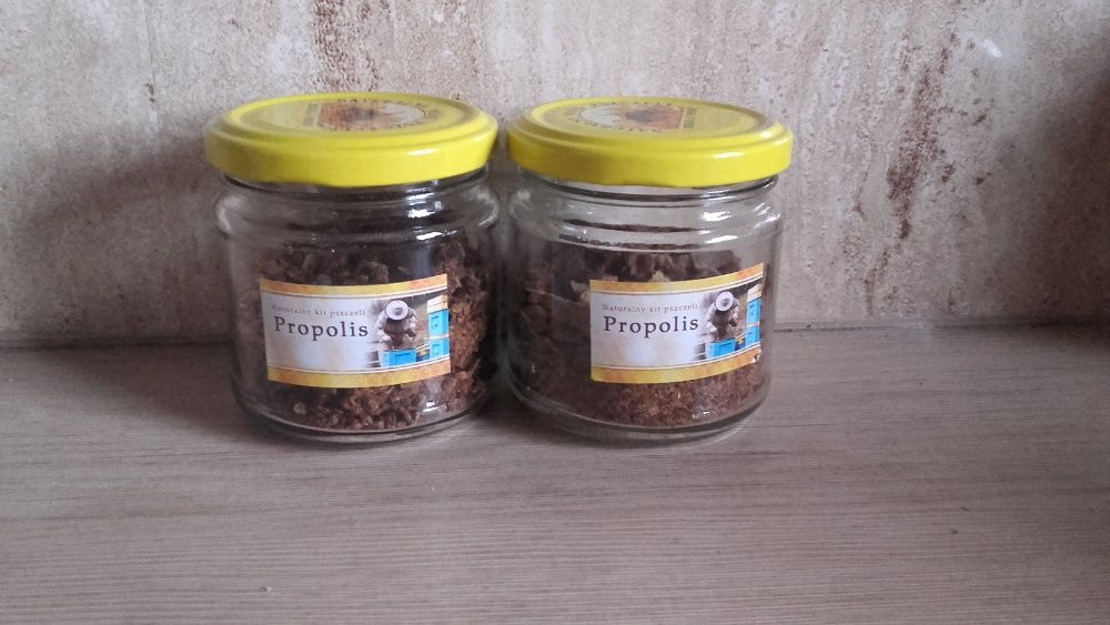 Kit pszczeli propolis