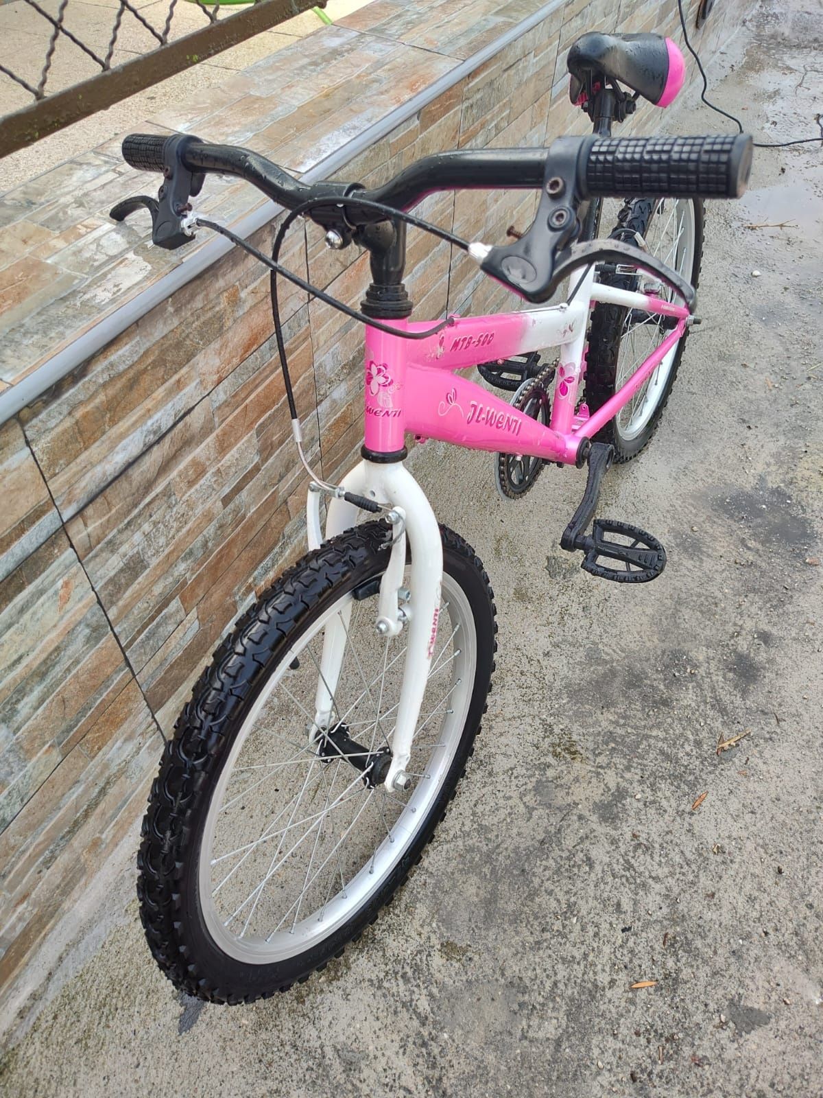 Bicicleta juvenil ( roda 20)