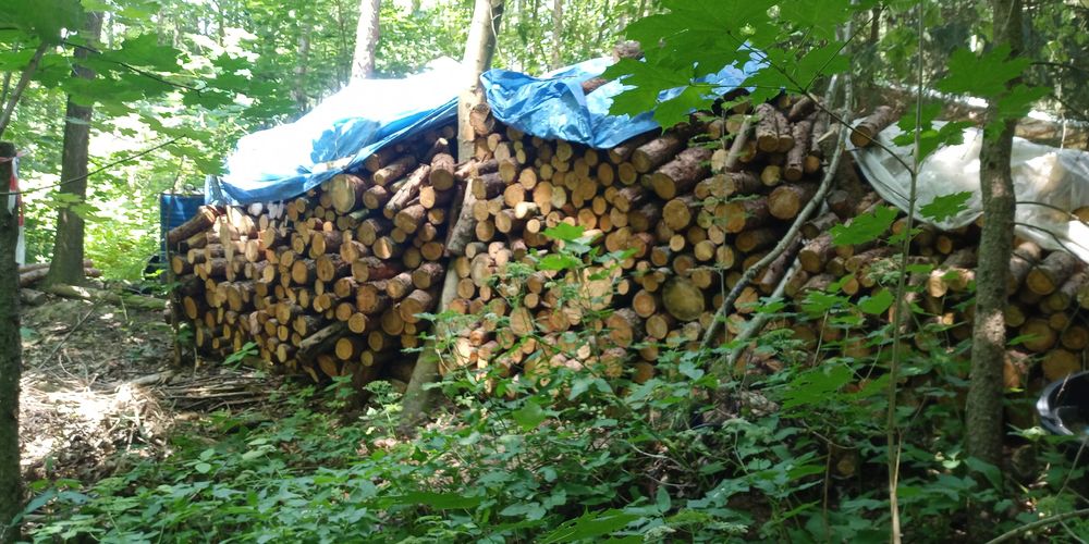 Drewno kominkowe/opał. Liściaste różne gat.zeszły rok Modrzew 2-letni!