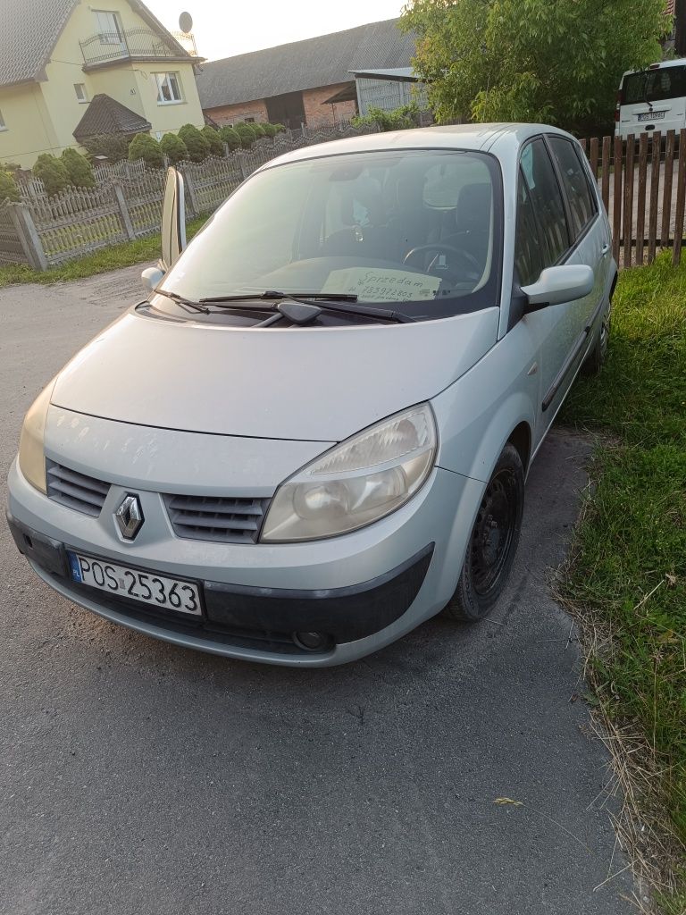 Renault scenic 1,9 dci