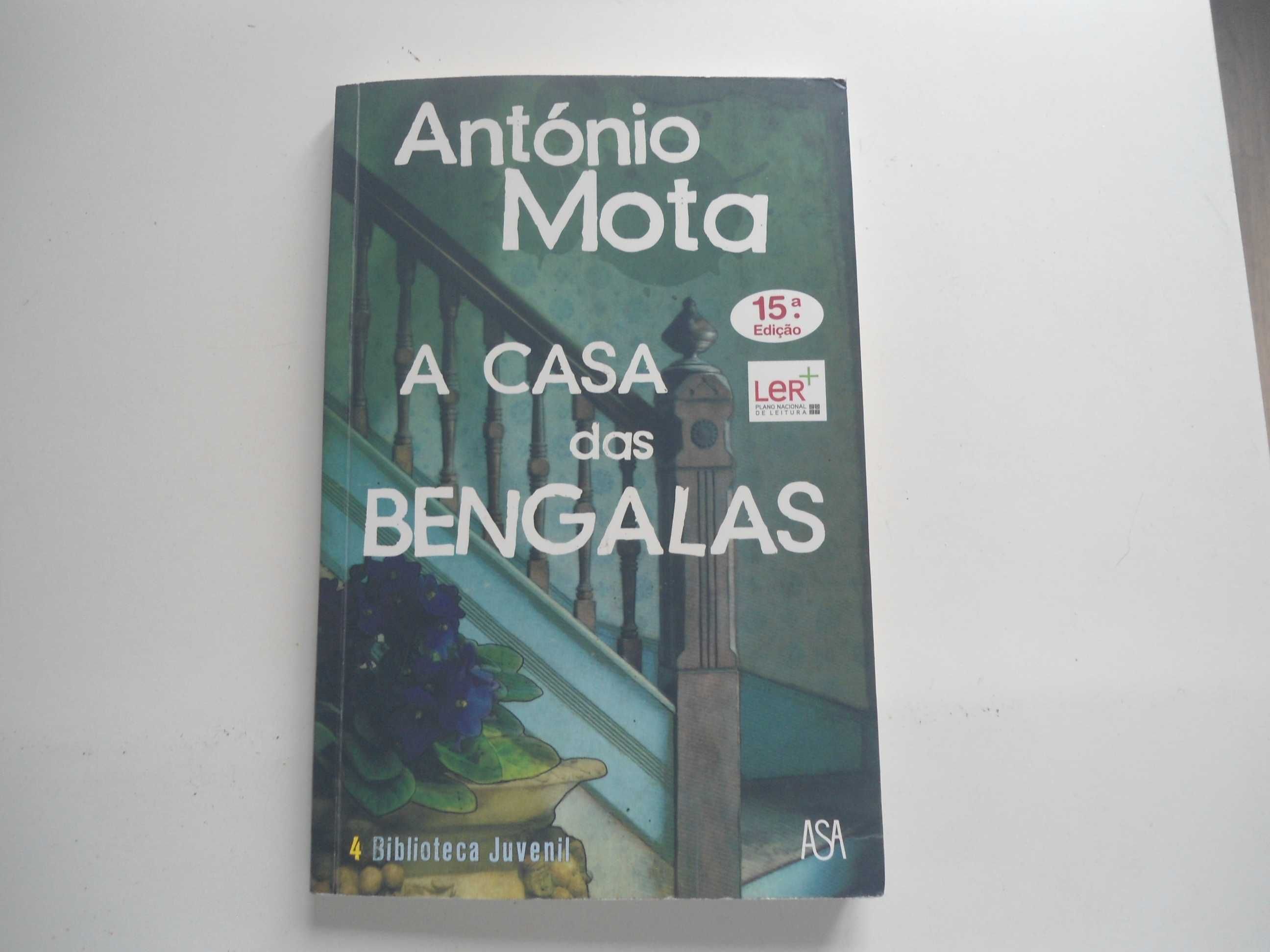 A Casa das Bengalas por António Mota