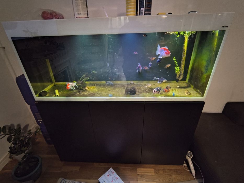 Aquael glossy 150 405 litrow