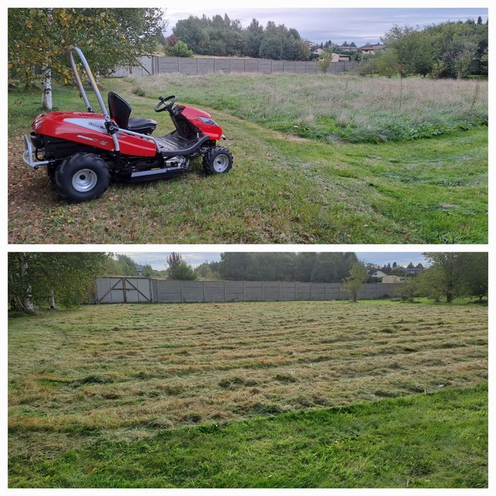 Wycinka drzew oraz karczowanie działek