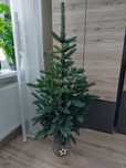 Choinka sztuczna jak żywa. Gałązki pe 155 cm
