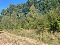 Działka 1016m2 przy Dłubiański Park Krajobrazowy