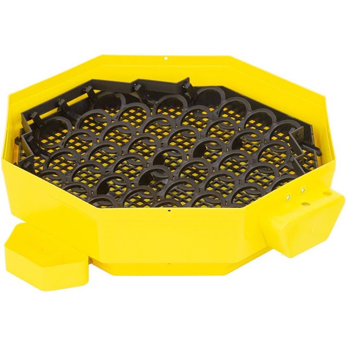 Inkubator do jaj iBator Home AUTO z silnikiem, automatyczny obrót jaj