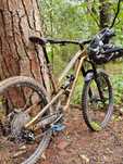 Radon Swoop 10.0 (M)